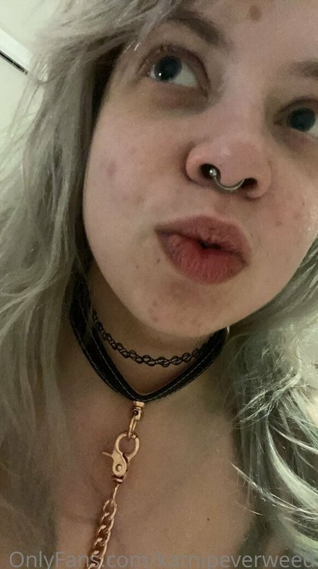 katnipeverweed perfect model archive