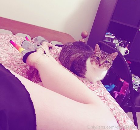 deezefreeze pornstar free photo