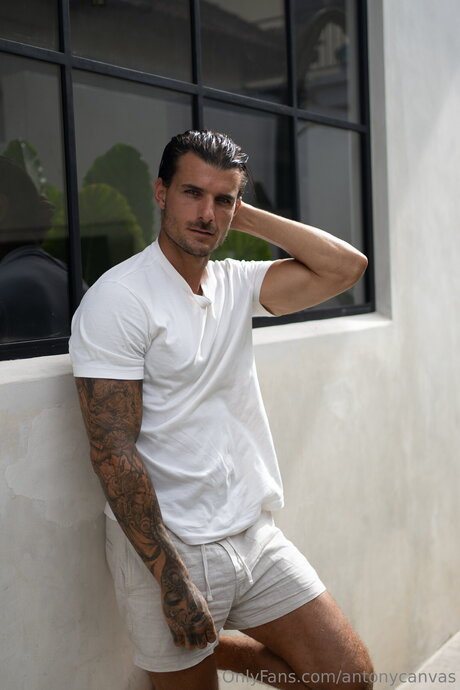 Antonycanvas star adult photo