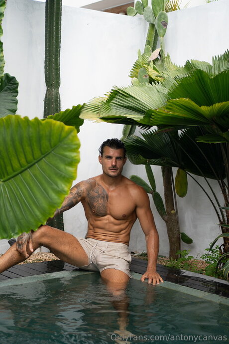 Antonycanvas hot star image