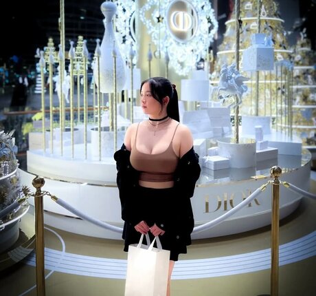 Tamirana NS model top img