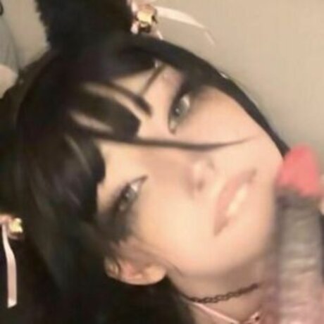 fawnirll art star photos