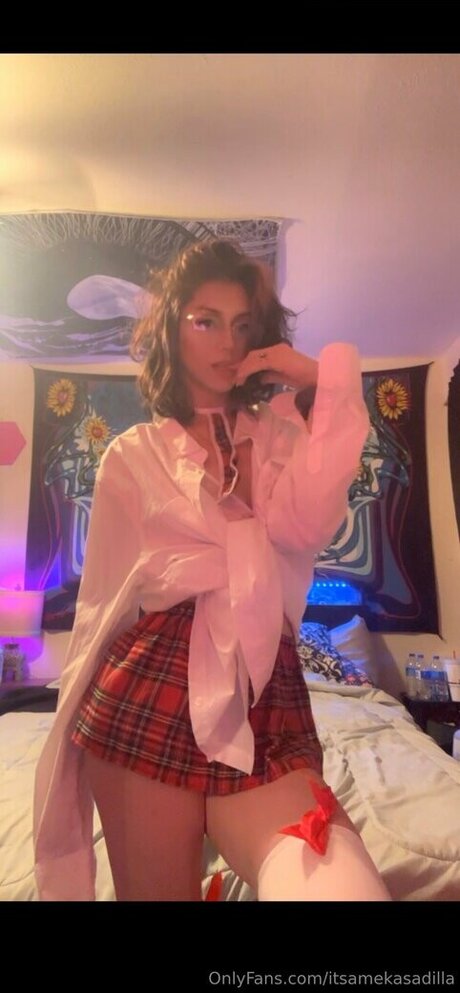 itsamekasadilla free pornstar archive