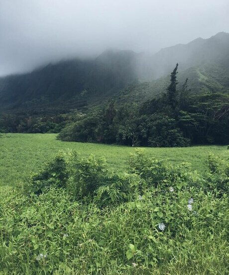 rianabailey hot pornstar galleries