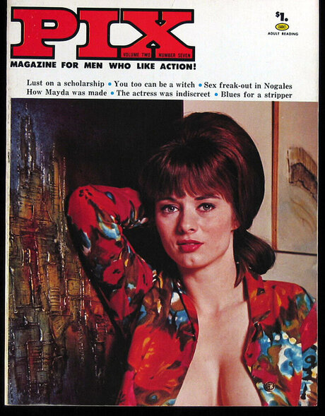 Classic Porn Magazines perfect pornstar pictures