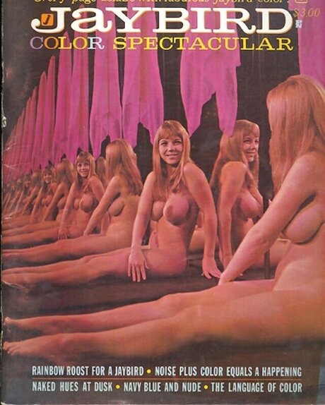 Classic Porn Magazines hot pornstar pictures