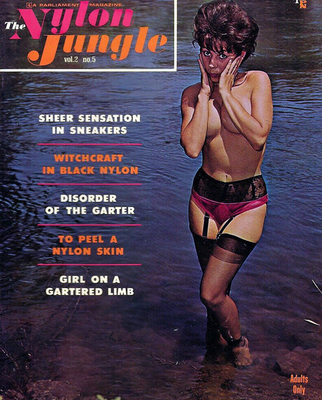 Classic Porn Magazines xxx pornstar archive