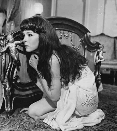 ebony foot fetish onlyfans top img