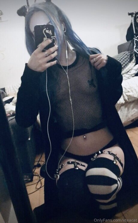 AwesomeTeaCat sexy star img