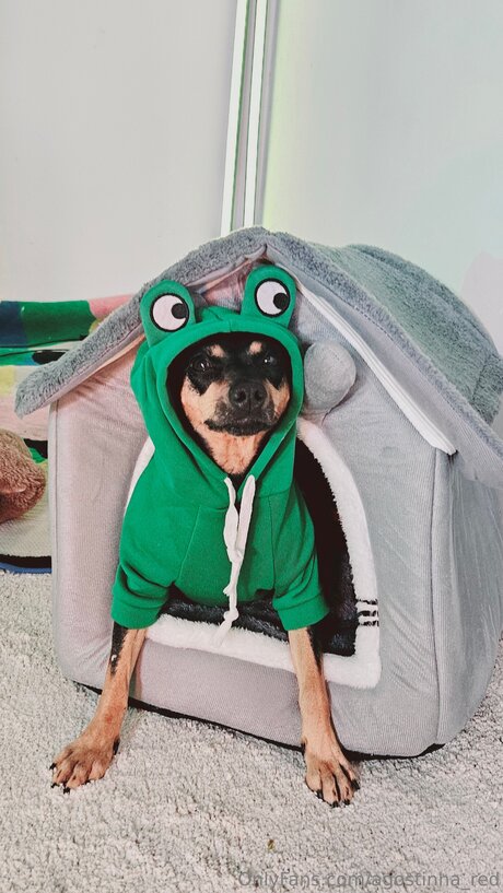 underground onlyfans perfect img