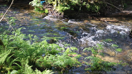 Agostinha Red hd star pic