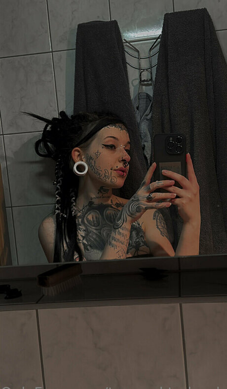 st hell top star archive