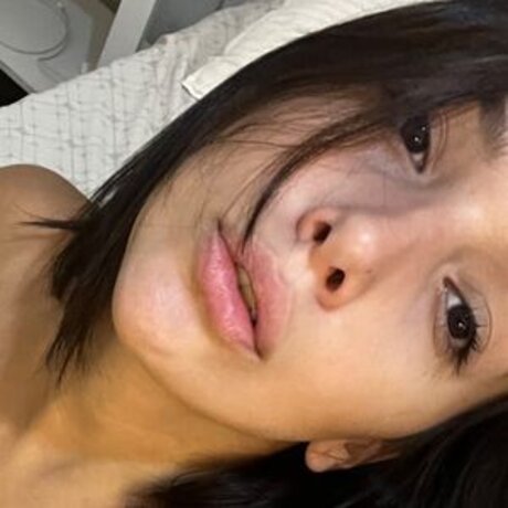 ludmilababe nice star galleries