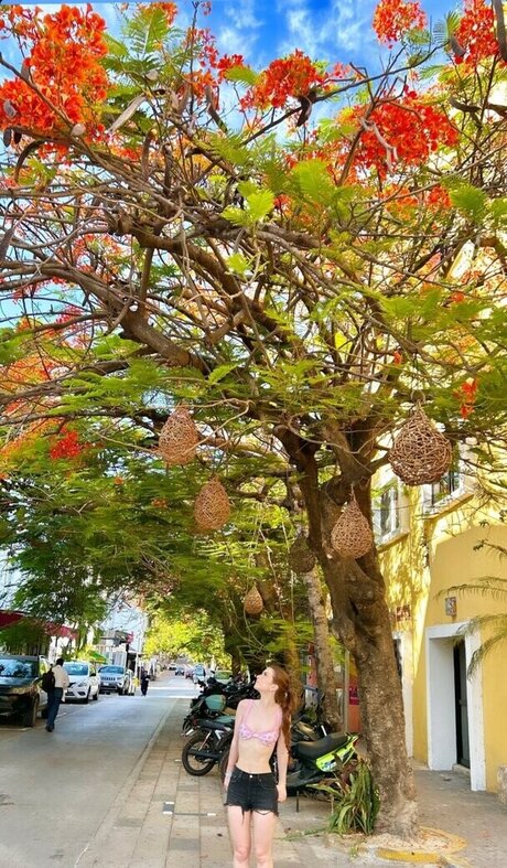 Giulia Bruno hd pornstar photos