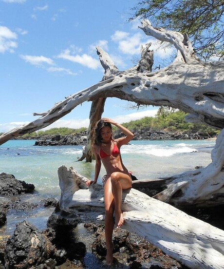 Lauren Avelina pornstar perfect archive