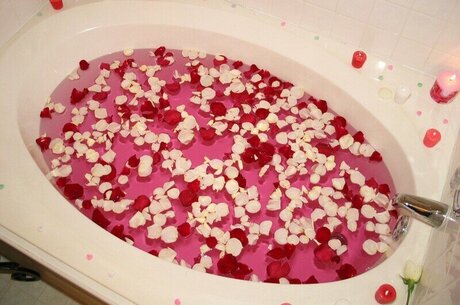 Southern Charms Reese perfect pornstar image