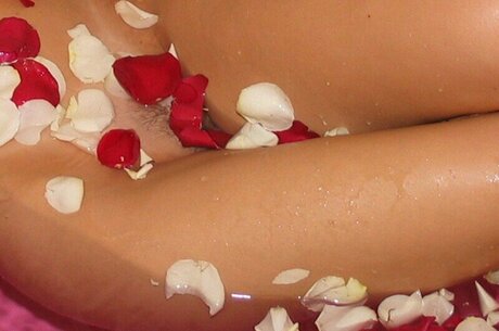 Southern Charms Reese xxx actress image