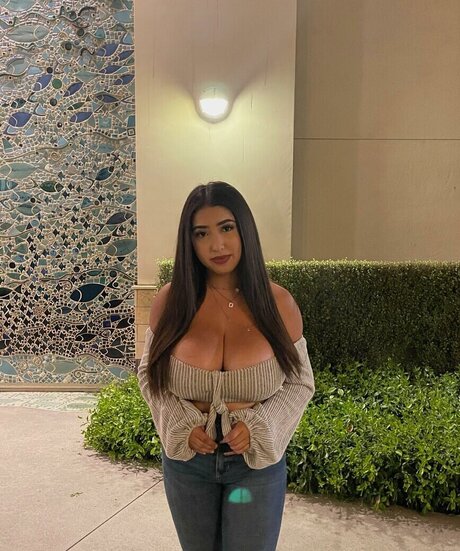 ashleyarambulaa beautiful model img