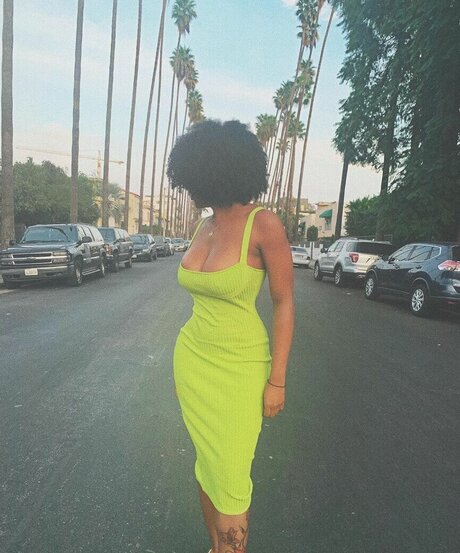 Taylor Banner Quick photo