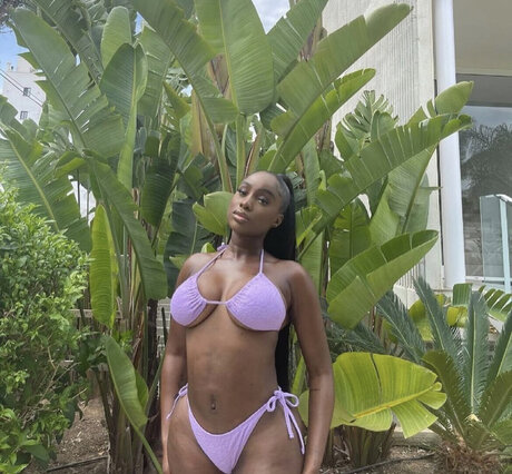 Sandra Lambeck star art image