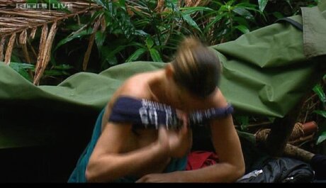 Ich bin ein Star Holt mich hier raus_ sex pornstar images