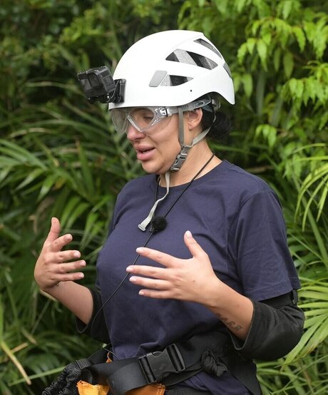 Ich bin ein Star Holt mich hier raus_ star perfect img