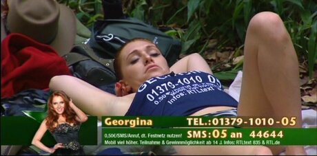 Ich bin ein Star Holt mich hier raus_ pornstar photos