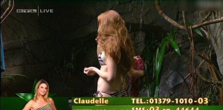 Ich bin ein Star Holt mich hier raus_ pornstar nudes pictures