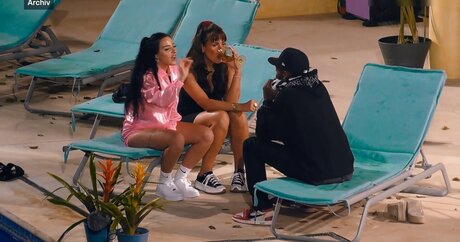 Ich bin ein Star Holt mich hier raus_ pornstar pretty gallery