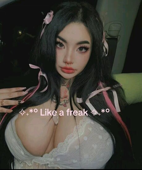 Sobaroll top model image