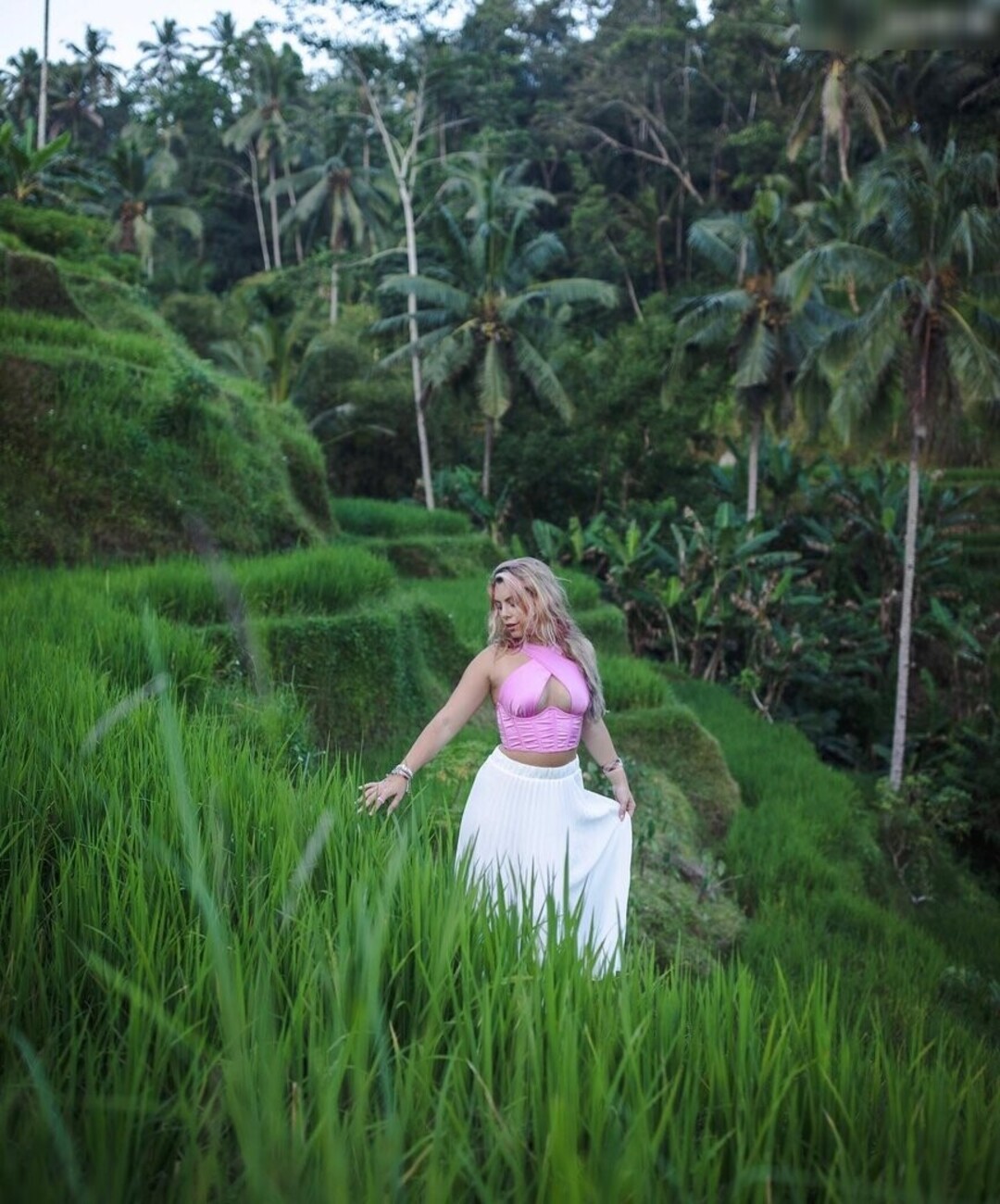 Chany Dakota nice model archive