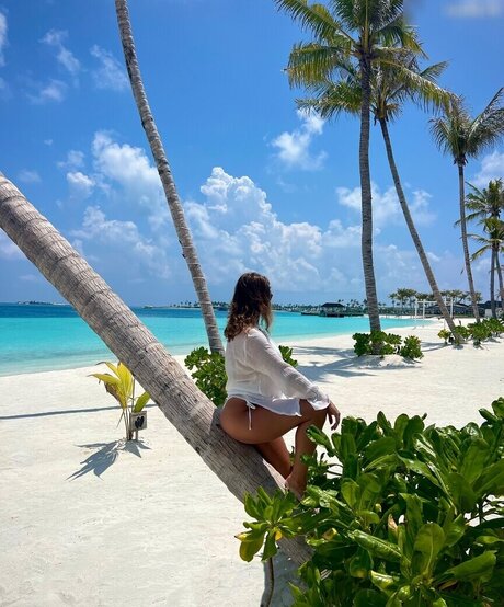 Lexi Si ziehl abegg pornographic actress pics