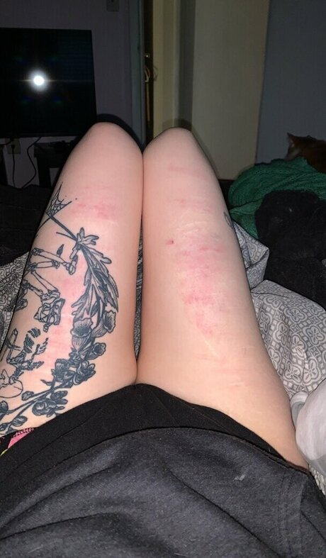 Riley Ramone Profile photo