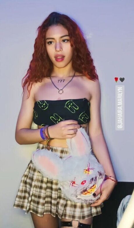 Cuttelittlebunny beautiful star photos