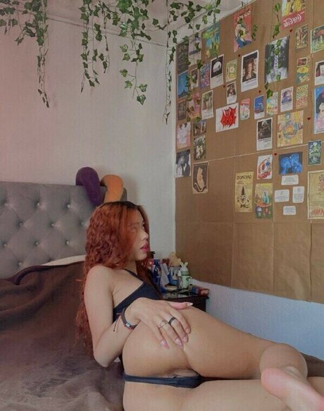 Cuttelittlebunny high quality star gallery