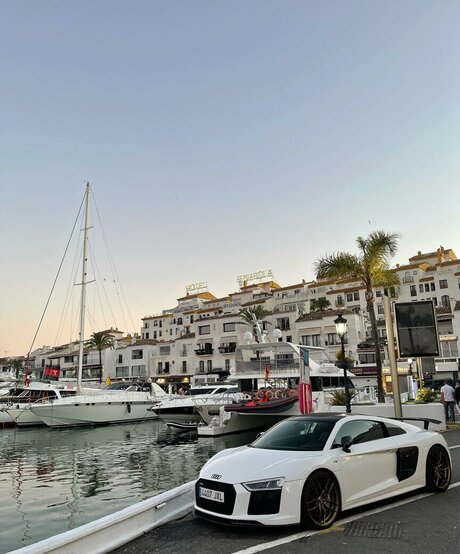 anastasiia sin sexy model pics