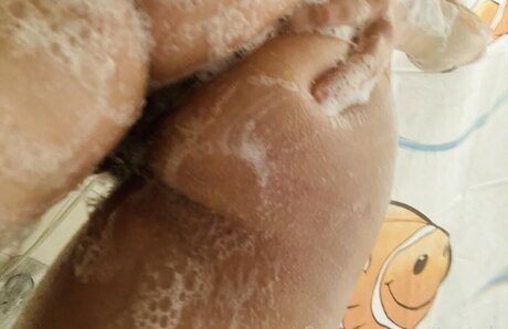 Harley Benz star free archive