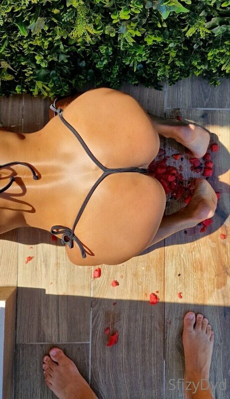 sfizydyd hd pornstar archive