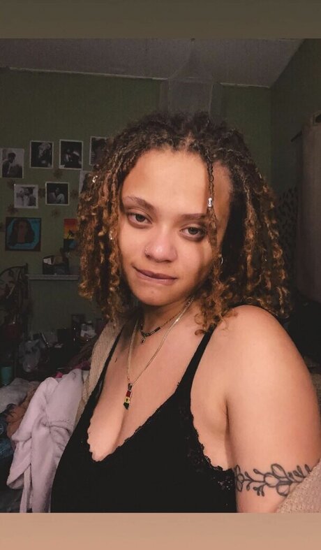 Lexcova star art galleries