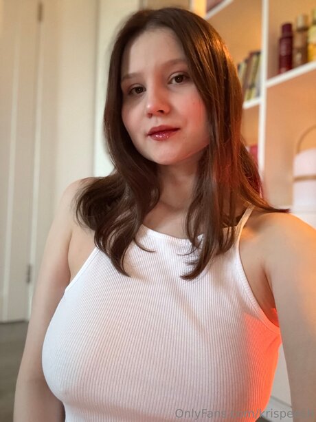 krispeech model nice img