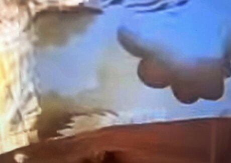 Sailing The Far Side star pretty images