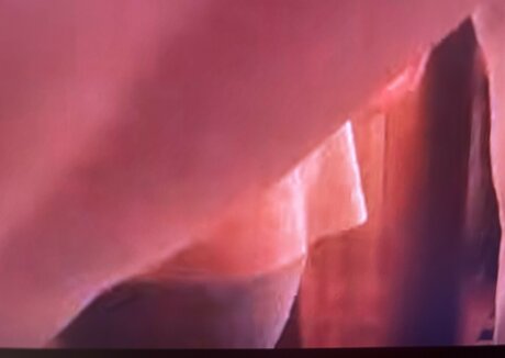 Sailing The Far Side model high quality img