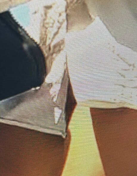 Sailing The Far Side nude pornstar photos