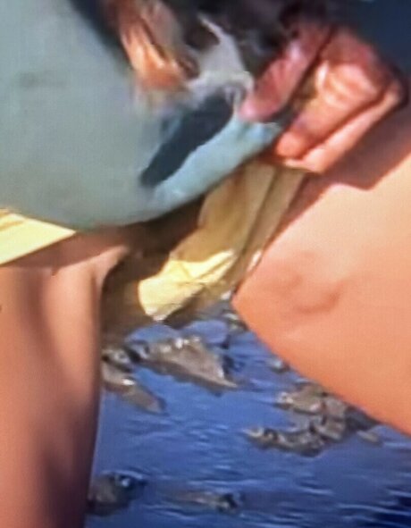 Sailing The Far Side model perfect gallery