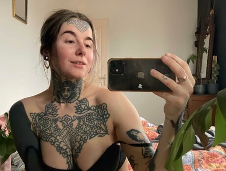 divinement bon star nice gallery