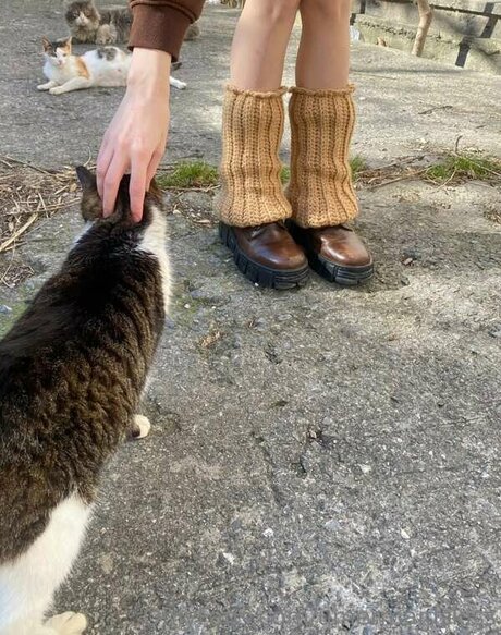 Mermaids Kiss pornstar perfect pic