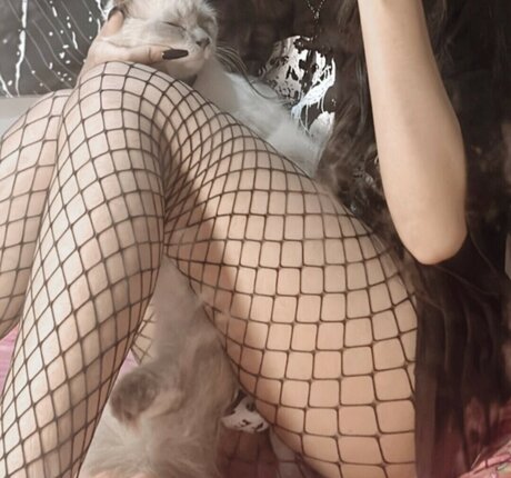 zems3lling model erotic gallery