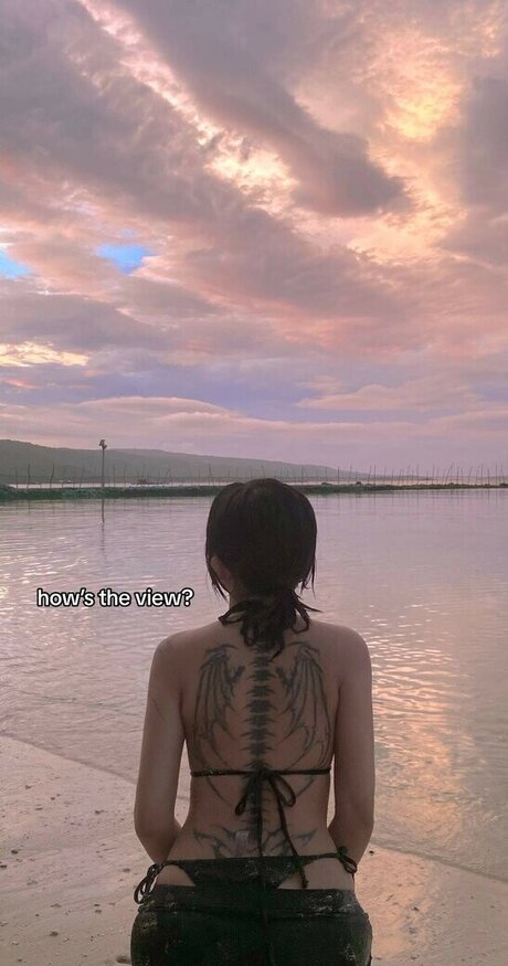 zems3lling nice star gallery