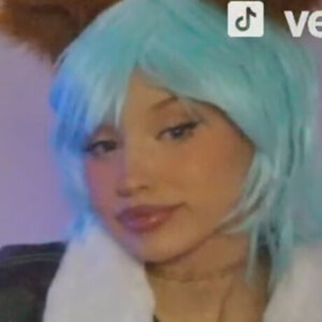 veefroggy nice model galleries