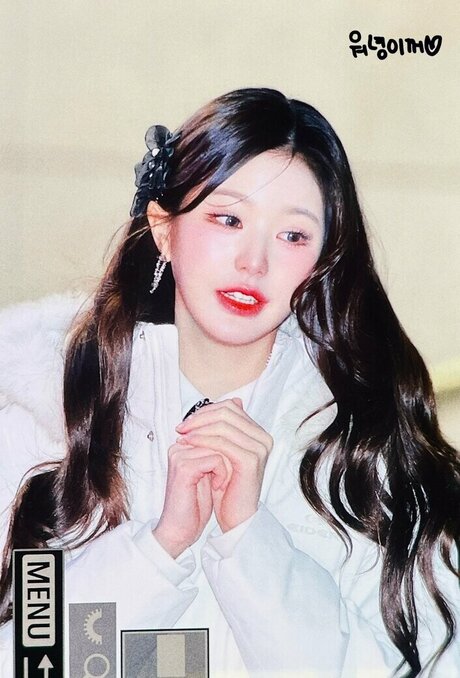 Jang Won young star pornographic pictures